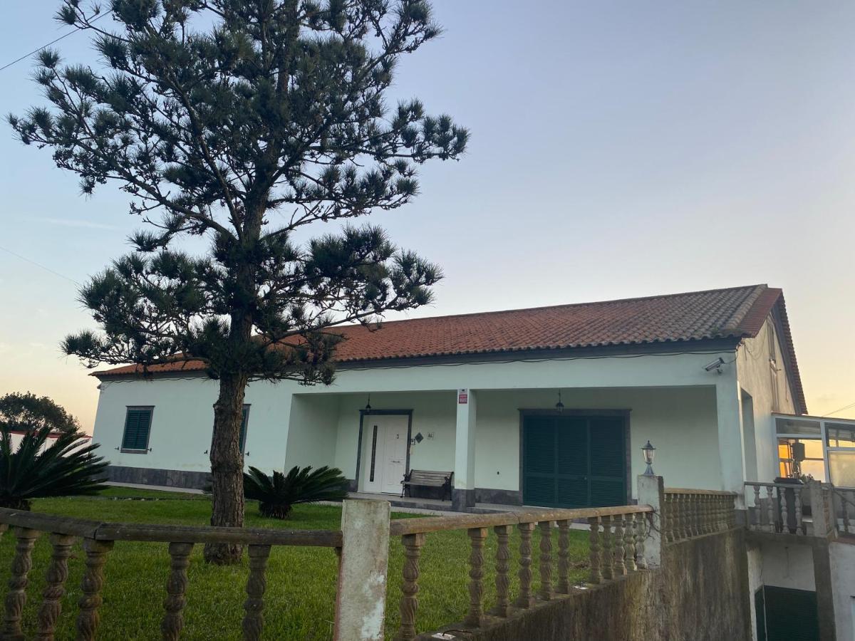 Green Tropical House Ponta Delgada 외부 사진